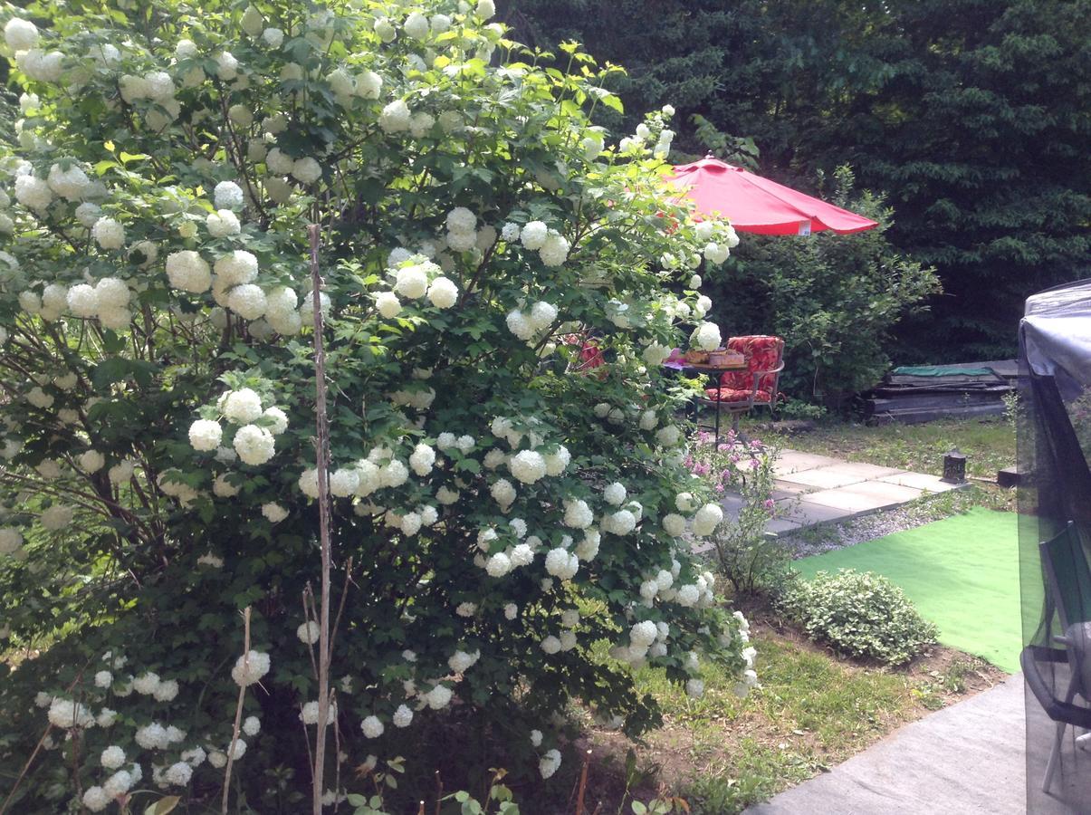 Ethel Maud Place Hotel Severn Екстериор снимка